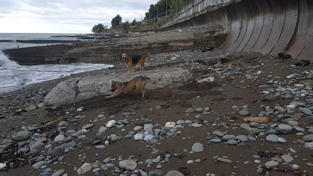 Красота среди бегущих: первых нет и отстающих! смотреть онлайн