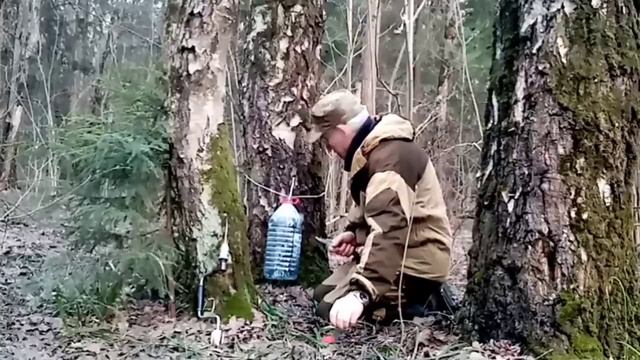08.04.2023 г. За березовым соком. смотреть онлайн