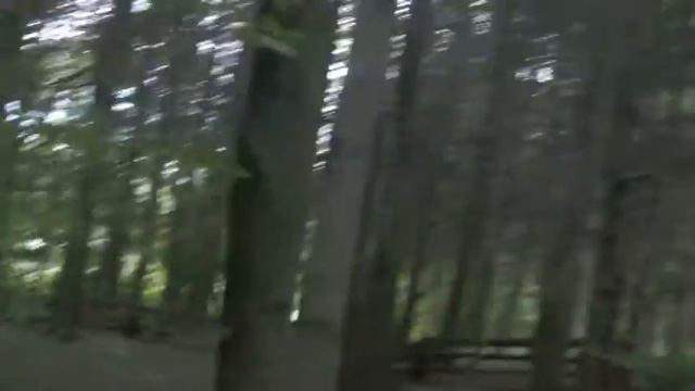 В ГОСТЯХ! рыбалка, батут, озеро и мы психи ♥ смотреть онлайн