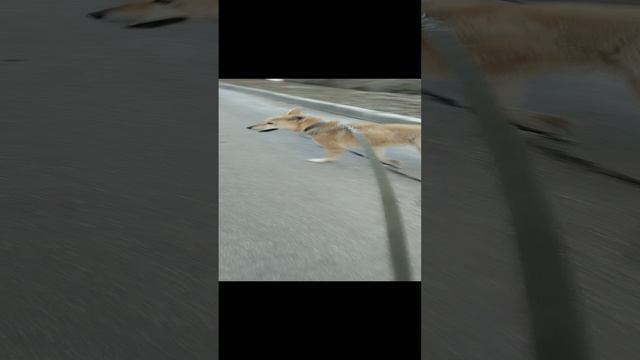 наступила весна