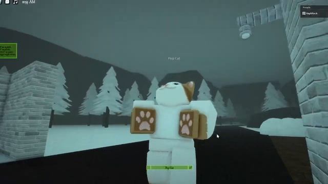Roblox Pop Cat (Avatar Build) смотреть онлайн