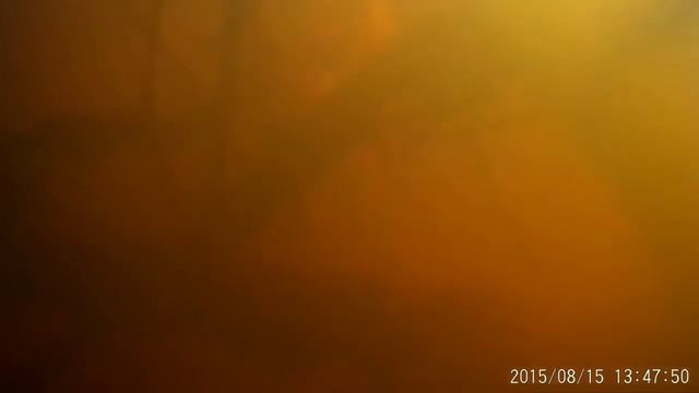 Удачная подводная охота на речке смотреть онлайн