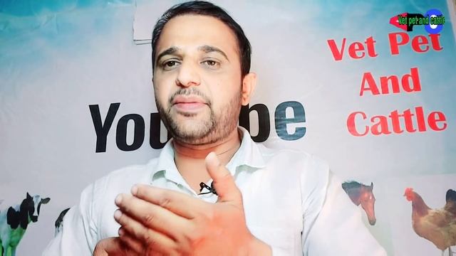 Nurokind Plus Vet Injection का उपयोग पशुओं में कौन सी बीमारी में कब और कैसे करें? смотреть онлайн