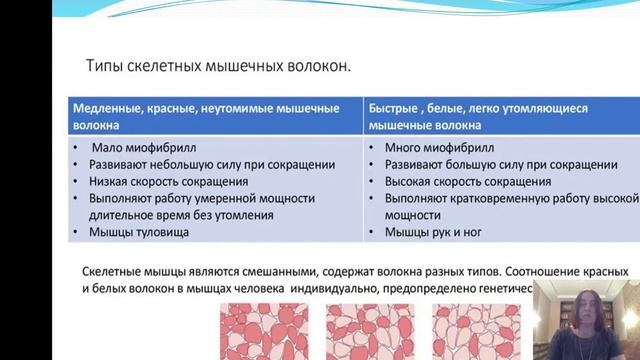 Физическая культура основные понятия смотреть онлайн
