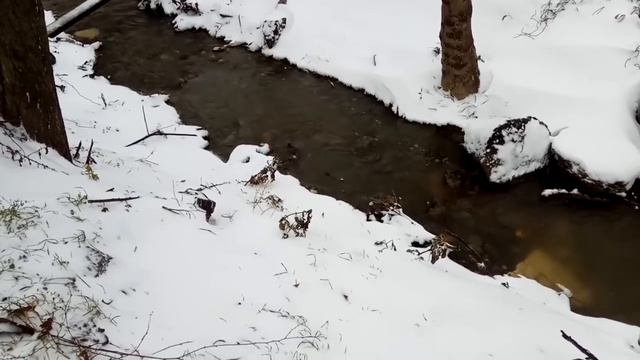 Обледенительный ужооос в Анапе 29.11.2018 смотреть онлайн