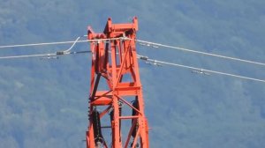 Nikon Coolpix P1000 - Megazoom 125x optical zoom