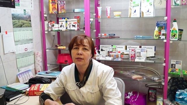 Почему собака ест кал? смотреть онлайн