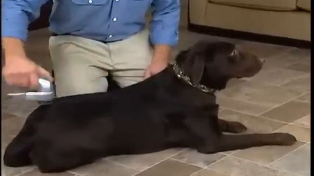 Прибор для удаления шерсти животных Shed VAC (Шед Вак)