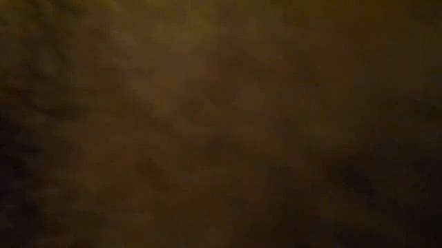 Укладываемся спать:) Кошки Ромашка и Подушка. смотреть онлайн