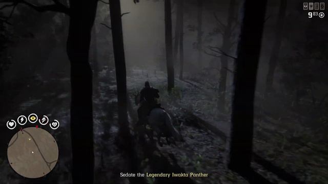 Red Dead Redemption 2 Online Sedating the Legendary Iwakta Panther reddeadonline #rdr2online смотреть онлайн