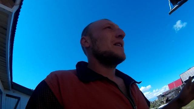 Про свиней и про дом смотреть онлайн