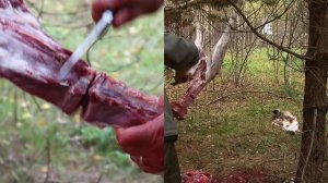 Охотничьи ножи | выбираем | тест на охоте