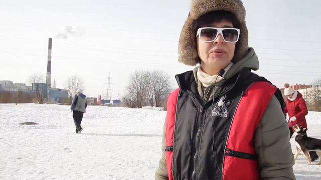 Помощь бездомным собакам.Приют на Торфяной дороге:) смотреть онлайн