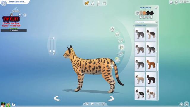 THE SIMS 4 (Симс 4) Начало строительства. Часть 1 смотреть онлайн