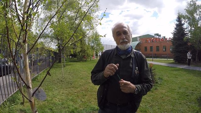 Константин Фролов-Крымский "Руки отца". Международная Акция "Сад памяти" 11 мая 2023. смотреть онлайн