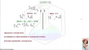 Электролиз растворов и расплавов кислот, солей и оснований