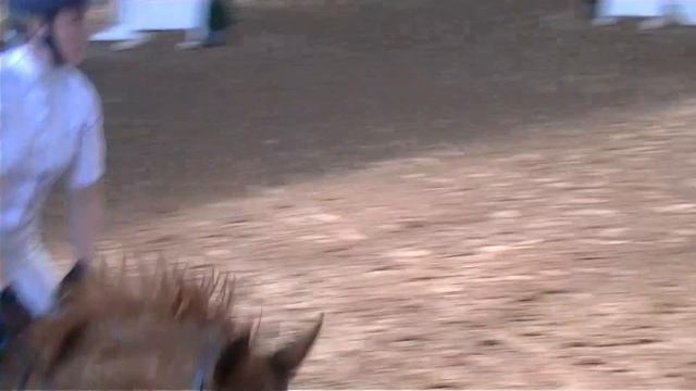 Castleforbes Simon 1.20m Cavan Equestrian Centre смотреть онлайн