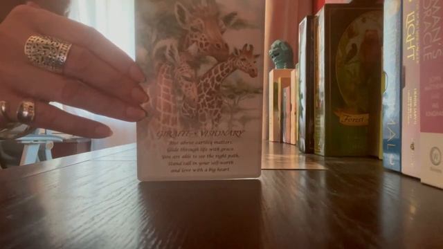 Today’s tarot is from my Spirit of the Animals Oracle Deck ?? смотреть онлайн