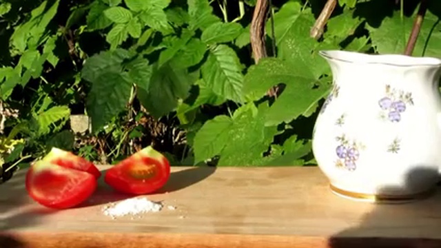 Интернет-магазин 