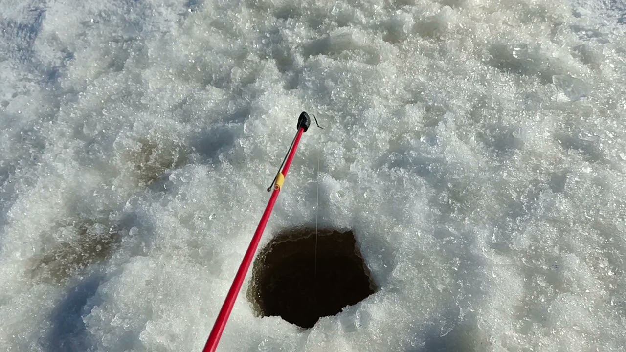 Закрытие сезона смотреть онлайн