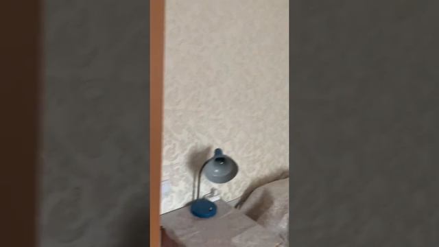 Купить Однушку в Советском смотреть онлайн