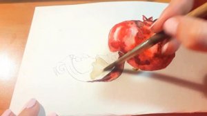 Как рисовать гранат. Акварель. Для новичков