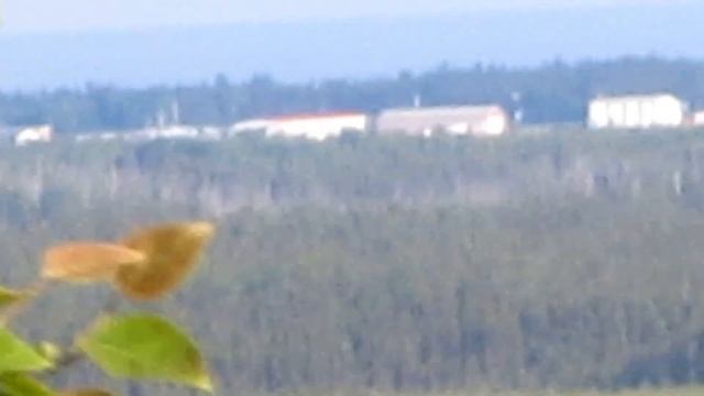 Sony DSC H400 Zoom Test ((Is It Worth It?)