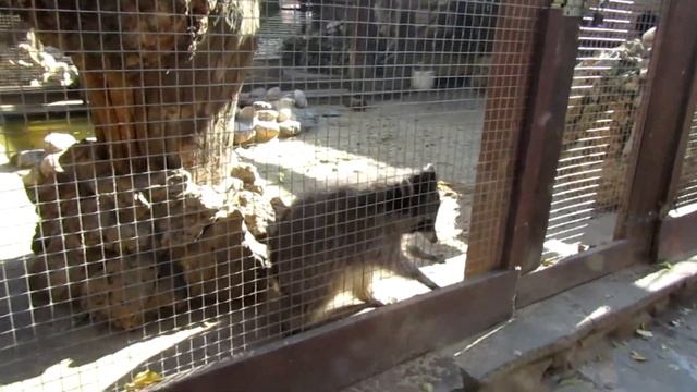 Парк Лога смотреть онлайн