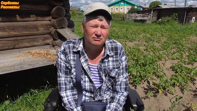 Реанимируем картофель после гербицида! смотреть онлайн