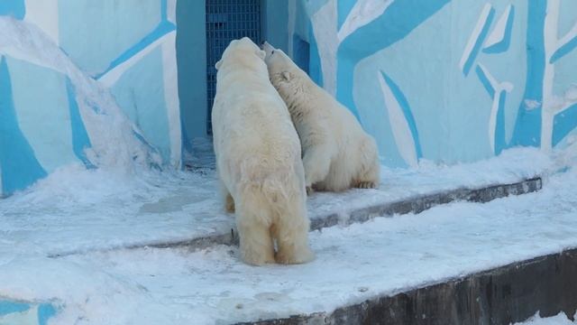 Кай и Герда снова вместе 2022 смотреть онлайн