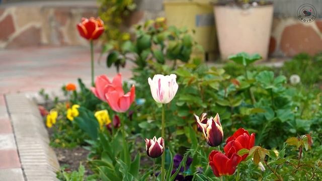 Деревенская Кухня Рецепты бабушки