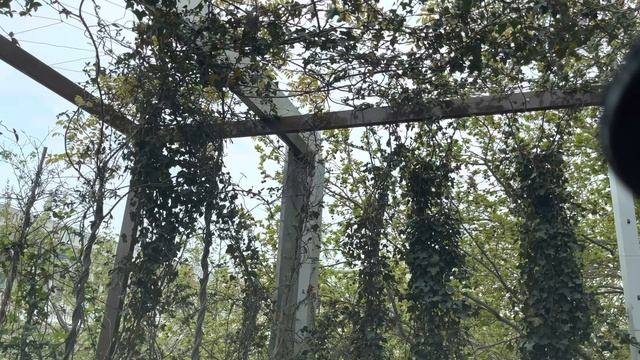 21 Апреля День привлечения Успеха и Благополучия и уважения Вас! смотреть онлайн