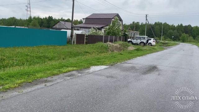 2022-06-01 все цветет