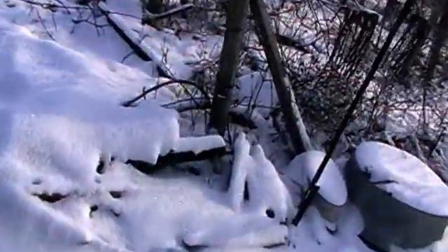 Как я укрываю ИНЖИР зимой 2021 г.Николаев (Часть 2) смотреть онлайн