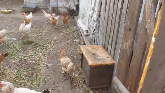 Лариске он не нужный. смотреть онлайн