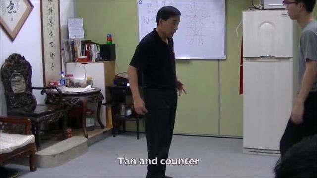 ОБРАЗЕЦ ВИН ЧУН Кунфу #2 - ТЕХНИКА НОГ / PATTERN WING CHUN Kungfu - LEG TECHNIQUE / 詠春功夫模式 - 腳法 смотреть онлайн