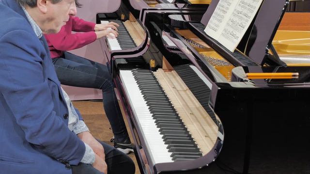 PIANO masterclass by Jacques Rouvier | Piano Sonata in A Major, Op. 120 by Franz Schubert смотреть онлайн