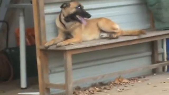 mmm1 смотреть онлайн