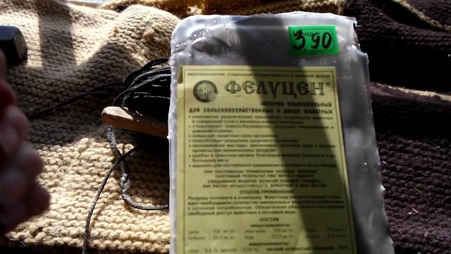 Чем кормить коз перед окотом. смотреть онлайн