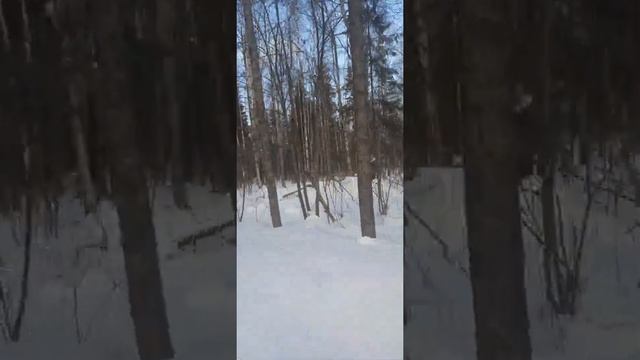 "Самый тихий" Буран смотреть онлайн