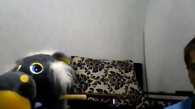 Видео с веб-камеры. Дата: 27 марта 2014 г., 17:56. смотреть онлайн