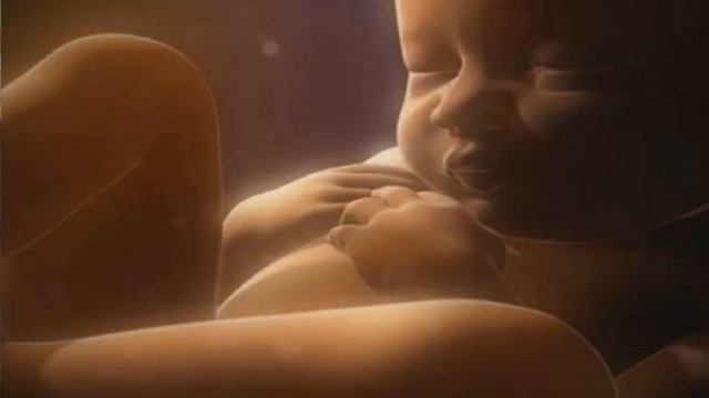 Имитация утробы матери: шумы для сна и релакса смотреть онлайн