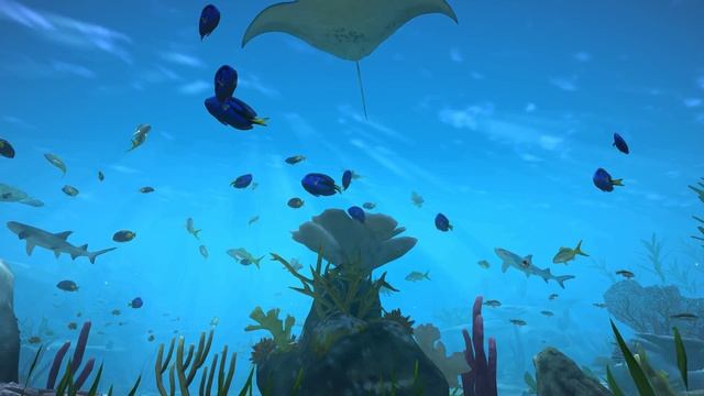 Aqua TV - Tropical Reef - 1 Hour (4K) смотреть онлайн