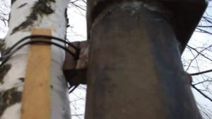 Вешаем скворечник. Крепление на дереве.