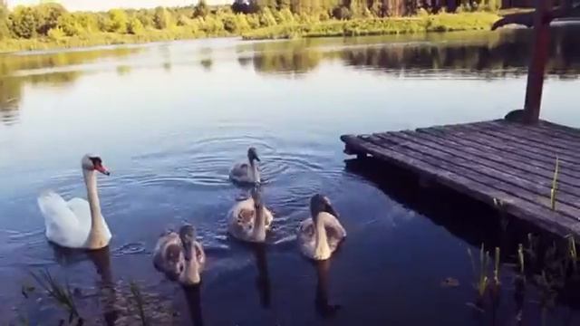 Театральное лето в Каролино