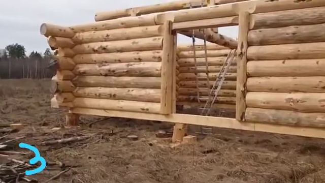 Обзор Бани в канадскую чашку из сухого вяленого леса сосны, часть 3 смотреть онлайн