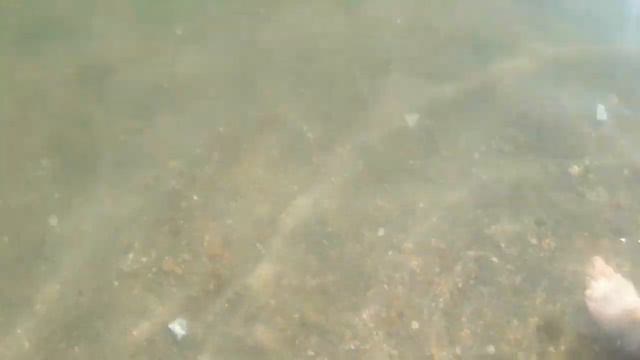 VLOG//аквапарк//гуляем в парке с Женей 🌻💘💫 смотреть онлайн