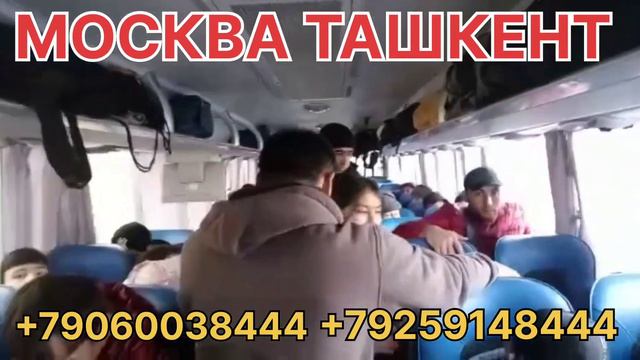 МОСКВА ТАШКЕНТ АВТОБУС +79060038444 #мигранты #мусофир #санктпетербург #москва #ташкент #АВТОБУС смотреть онлайн