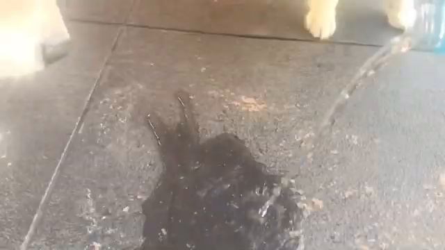 Hey! Hey! Hey! смотреть онлайн