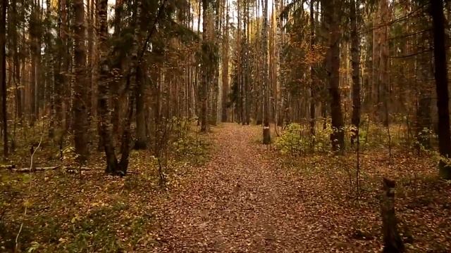 Best Chill Relax Music ll Meditative Ambient Magic Vol1 смотреть онлайн